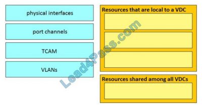300-610 PDF Testsoftware