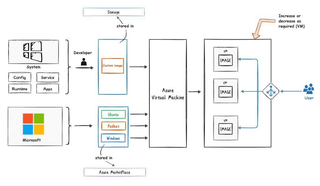 microsoft server